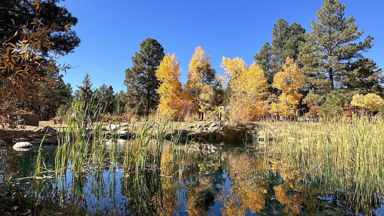 Edgemont Ranch