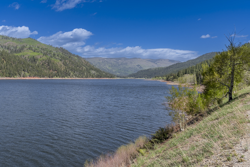 Rodgers-1641SierraVerdeDr-00221-HDR