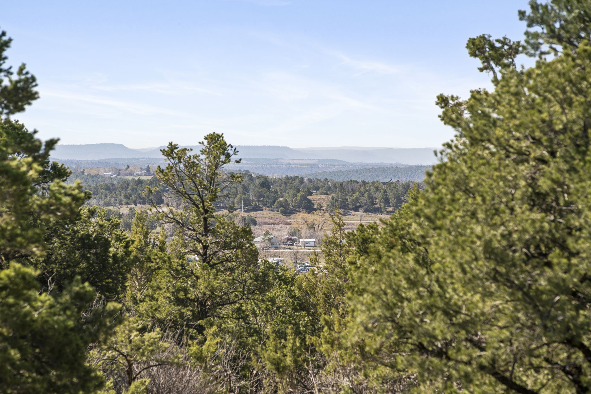 35-web-or-mls-Rodgers-154ConchoCir-00034