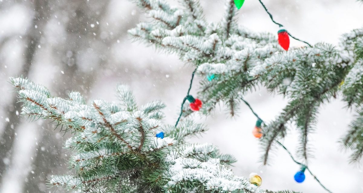 Christmas in Durango: 2025 Edition