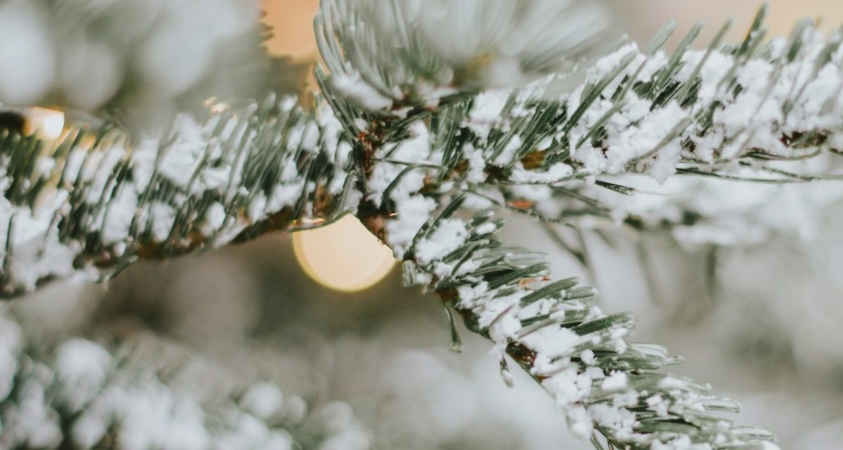 Durango Christmas Activities: 2025 Edition