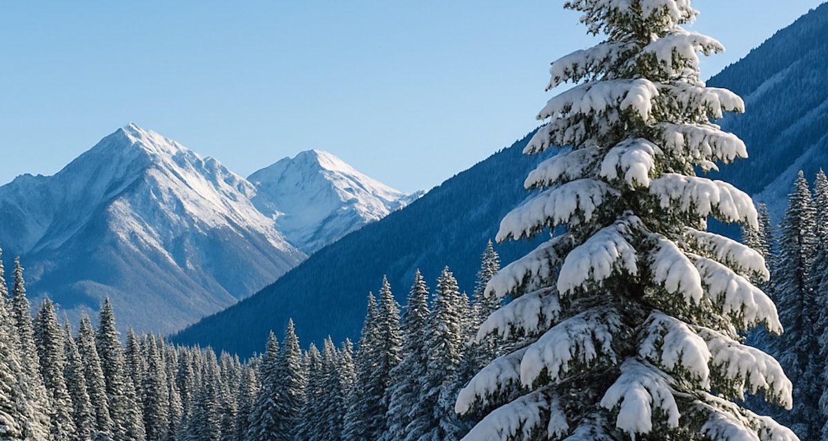Snow, Sun & Seasons: Colorado Mountain Living